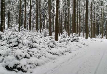 Randonnée A pied Pramet - Frankenburger Höhenrundwanderweg - Photo