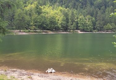Tour Wandern Woll - Lac des corbeaux  - Photo