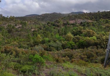 Trail Walking Saint-Raphaël - Z LE VALLON DE BARBAN 21-05-19 - Photo