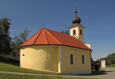 Excursión A pie Gemeinde Schweiggers - Wasser Weg 44 - Photo