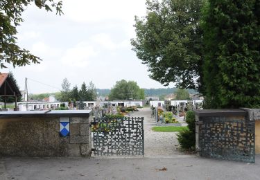 Tour Zu Fuß Bad Wimsbach-Neydharting - Zum Almspitz - Photo