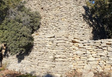 Tocht Stappen Gordes - Autour de Sénanque - Photo