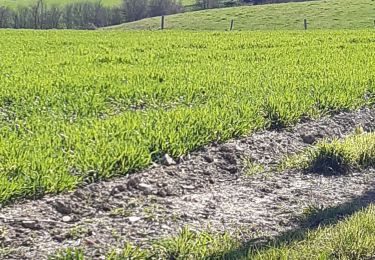 Tour Wandern Havelange - Boffeu -Chardeneux - Méan - Photo