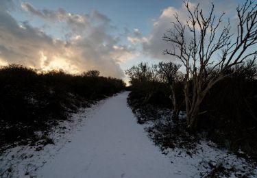 Randonnée A pied Texel - De Geul - Photo