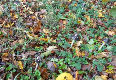 Trail Walking Prugny - Prugny 22,5km le 06.11.2023 - Photo
