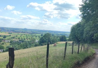 Trail Mountain bike Visé - Entre Belgique et Pays-Bas 🌿 - Photo