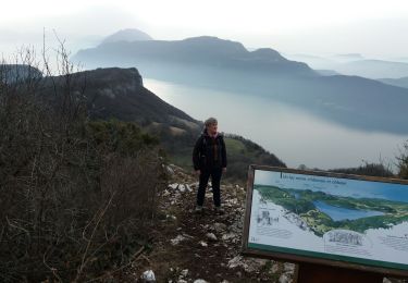 Trail Walking Entrelacs - SAPENAY: MONTAGNE DE CESSENS - Photo