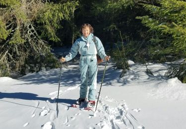 Tour Schneeschuhwandern La Tour-d'Auvergne - La stele - Photo