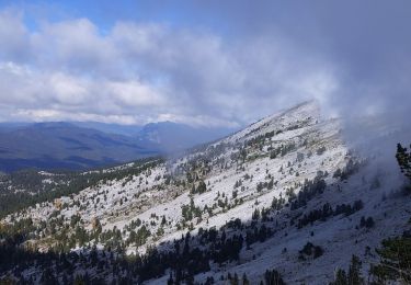 Tour Wandern Saint-Agnan-en-Vercors - pas morta 6 10 22 - Photo