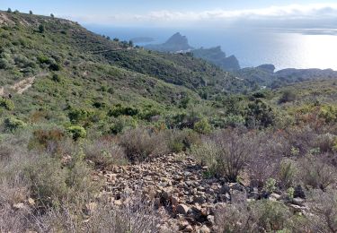 Randonnée Marche La Ciotat - la ciotat  boucle St Croix  - Photo