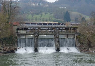 Tour Zu Fuß Feldbach - Rechte Kopfspur - Photo