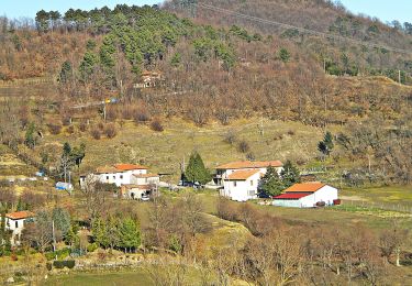 Tocht Te voet Cantagallo - Sentiero CAI 38 - Sez. Prato - Photo