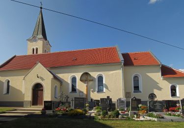 Tour Zu Fuß Gemeinde Zwettl-Niederösterreich - Pyramidenweg 53 - Photo