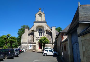 Percorso Marcia Artannes-sur-Indre - Artannes-sur-Indre - Pont-de-Ruan circuit 2 - 15.7km 175m 2h45 - 2017 04 17 - Photo