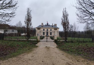 Tocht Stappen Saint-Germain-en-Laye - La forêt de St Germain  - Photo