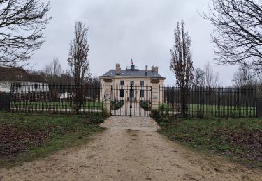 Excursión Senderismo Saint-Germain-en-Laye - La forêt de St Germain  - Photo