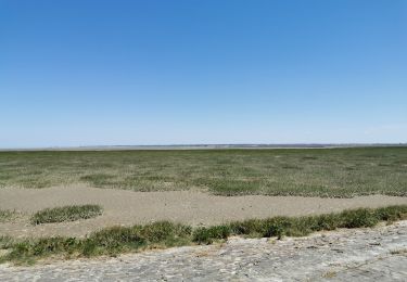 Randonnée Vélo électrique Sainte-Marie-du-Mont - Utah - Photo