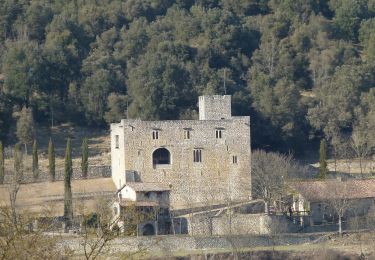 Randonnée A pied Montagut i Oix - Oix-Santa Bàrbara de Pruneres - Photo