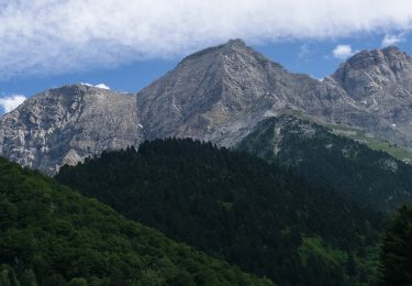 Tocht Te voet Gavarnie-Gèdre - Cirque de Gavarnie - Photo