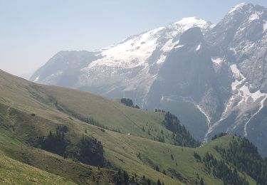 Trail Walking Canazei - Passo pordoi 264m 6kms - Photo