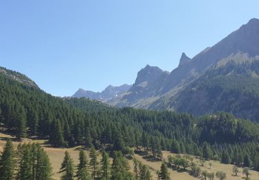 Tocht Stappen Saint-Paul-sur-Ubaye - Parouart  - Photo