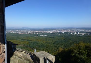 Randonnée A pied  - Waldlehrpfad Bremerhof - Photo