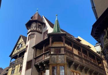 Randonnée Marche Colmar - Colmar petite Venise  - Photo
