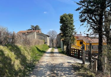 Randonnée A pied Vernio - Sorgenti di Firenze Trekking - Anello 10: Dalla Calvana all'Appennino - Photo