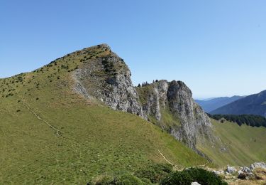 Excursión Senderismo Moncaup - col des are au pic du gar - Photo