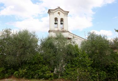 Randonnée A pied San Casciano in Val di Pesa - IT-SC2 - Photo