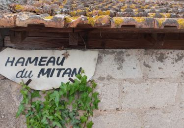 Excursión Senderismo La Motte - les demoiselles - Photo