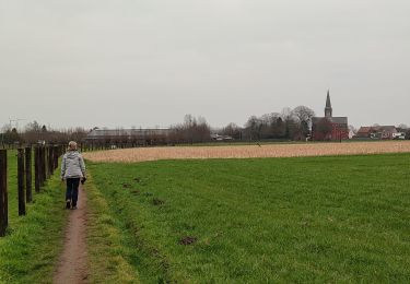 Percorso Marcia Londerzeel - Sint-Jozef - Lippelo - Photo