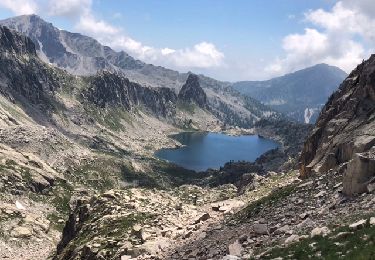 Trail Walking Saint-Martin-Vésubie - Lac Negre - Photo