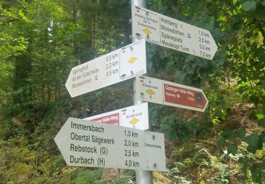 Tocht Te voet Durbach - Durbachtalweg - Photo