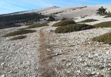 Excursión Senderismo Bédoin - Les Glacières du Facteur  - Photo