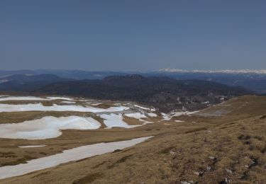 Tour Wandern Bouvante - Font d'Urles - Photo
