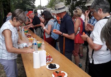 Tocht Stappen Inguiniel - Inguiniel - La chapelle de Lochrist - Photo