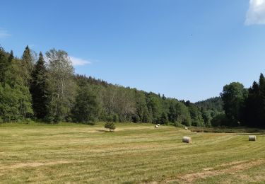 Percorso Marcia Plateau d'Hauteville - Chemin de crête de Valorse - Photo