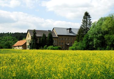 Trail On foot Staudernheim - Staudernheimer Hang - Photo