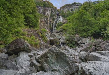 Randonnée A pied Maggia - Maggia - Lodano - Photo