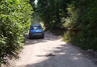 Trail On foot  - sat Ghețar - sat Dealu Frumos - sat Ghețar - Photo