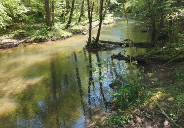 Tocht Stappen Daverdisse - Gembes le long de l'Almache  - Photo