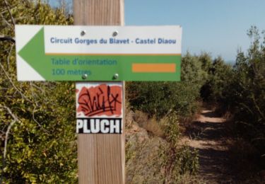 Trail Walking Bagnols-en-Forêt - Gorges du Blavet 83 - Photo