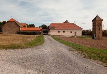 Excursión A pie Freudenberg - Rundwanderweg Freudenberg, F3, Dürrhof-Weg - Photo