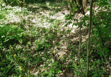 Tocht Stappen Vouthon-Haut - reco site VTT - Photo