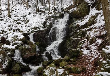 Trail Walking Neuviller-la-Roche - Natzwiller - cascade de la Serva - Champ du Feu - Photo