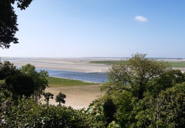 Excursión Senderismo Saint-Valery-sur-Somme - Baie de Somme - Photo