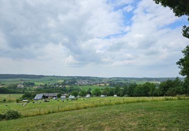 Randonnée Marche Vaals - Wandelroute---cittaslow-rondje-viele - Photo