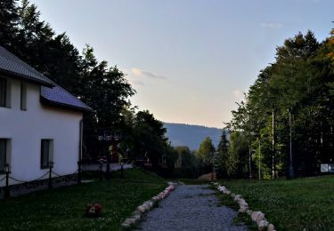 Tour Zu Fuß Mittelstadt - Lacul Bodi – intersecție traseul BA - Photo