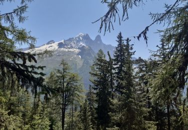 Tour Wandern Chamonix-Mont-Blanc - la flegere - Photo